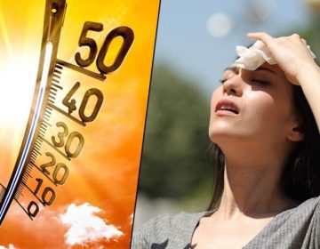21 جولائی 2024 دنیا میں اب تک کا گرم ترین دن ریکارڈ