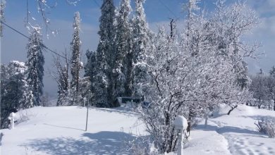 جرمنی کے جنوبی علاقوں میں شدید برفباری،نظام زندگی مفلوج