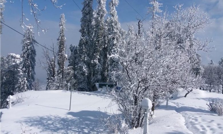 جرمنی کے جنوبی علاقوں میں شدید برفباری،نظام زندگی مفلوج