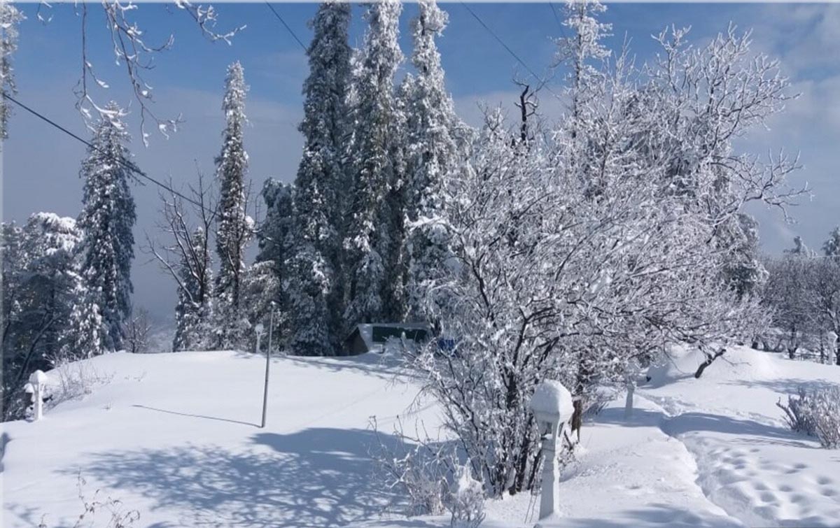 جرمنی کے جنوبی علاقوں میں شدید برفباری،نظام زندگی مفلوج