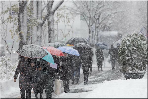 جنوبی کوریا: سیئول میں نومبر کی سب سے زیادہ برف باری، زندگی مفلوج