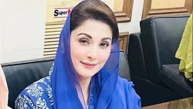 پنجاب حکومت کا بڑا اقدام: مریم نواز کا قبضہ مافیا کے خلاف گرینڈ آپریشن کا اعلان