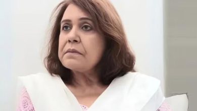 اداکارہ عائشہ خان کا انتقال، چیئرمین سینیٹ، وزیراعلیٰ پنجاب سمیت دیگر کا اظہار افسوس