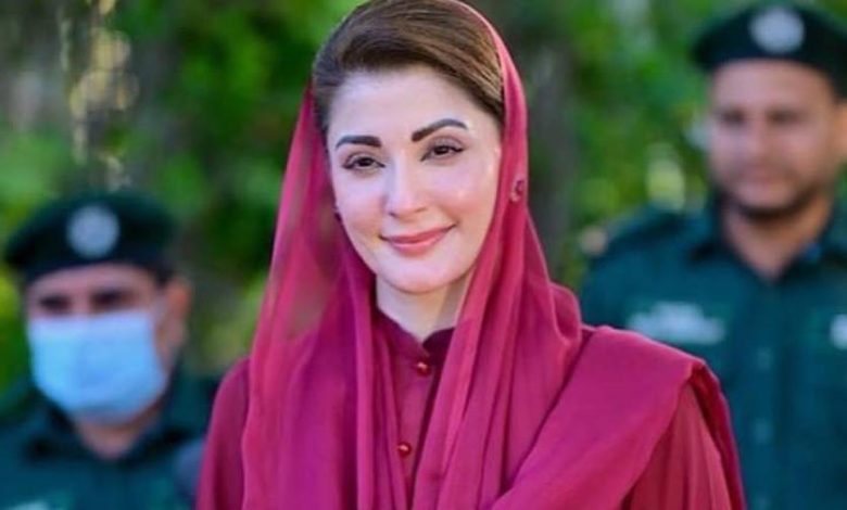 وزیراعلیٰ پنجاب نے جدید ماڈل ویلج پروجیکٹ کی منظوری دے دی