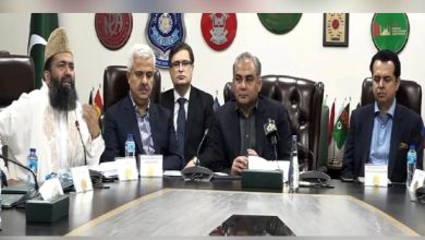 ایران، اسرائیل کے سیز فائر میں وزیراعظم کا کلیدی کردارہے، وزیر داخلہ