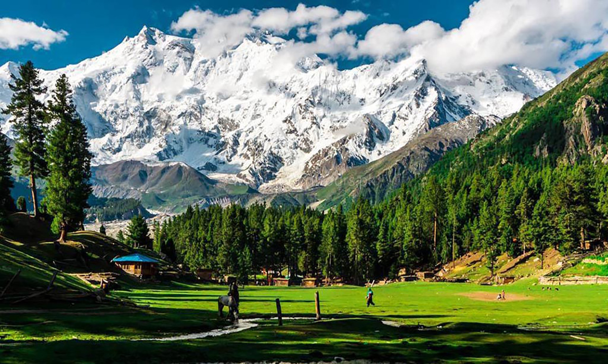 فیری میڈوز کے سبز میدان اور پیچھے نانگا پربت کی برف پوش چوٹی