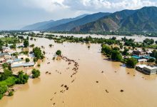 پاکستان میں مون سون کی تباہ کاریاں: ہلاکتیں 303 تک پہنچ گئیں، سینکڑوں زخمی