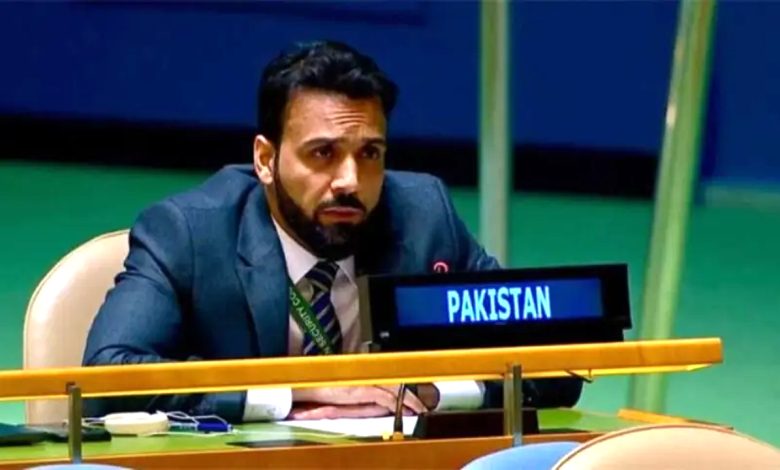 پاکستان نے اقوام متحدہ میں بھارت کو ’علاقائی غنڈہ‘ قراردے دیا