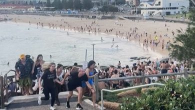 بوندی بیچ پر حملہ کرنے والے مشتبہ افراد کون تھے ؟